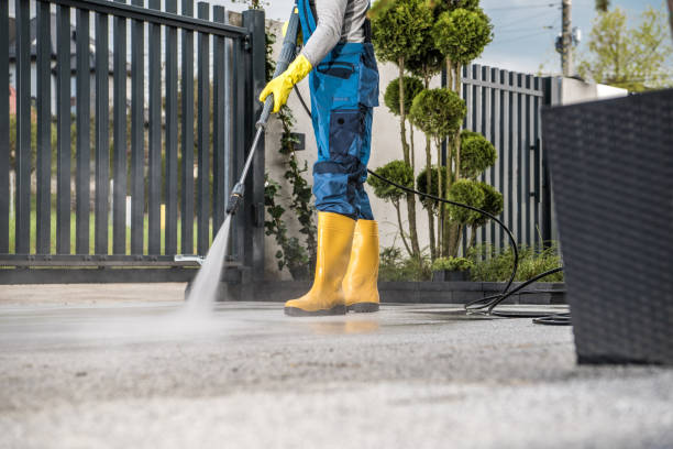 Best Deck Cleaning Services  in Pottsville, AR
