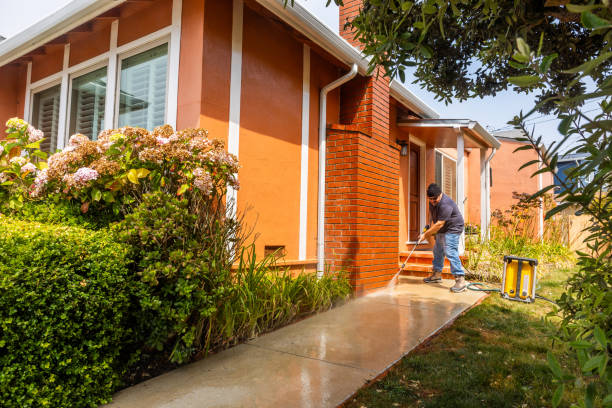 Best Local Pressure Washing Services  in Pottsville, AR