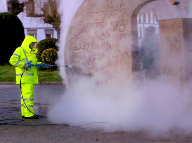 Best Power Washing Near Me  in Pottsville, AR