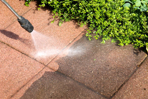 Local Pressure Washing Services in Pottsville, AR